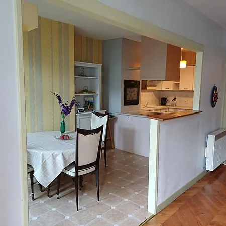 Appartement Hyper-Centre Issoire Exterior foto